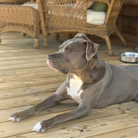 A little about 𝓜𝓔 💕💞 - Picture 2 of 15